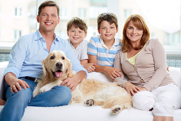 Tips For Family Dental Care  From A Top Cleveland, TX, Dentist