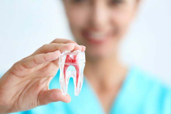 Periodontics    : Taking Care Of Your Gums